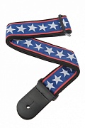 PLANET WAVES 50A10
