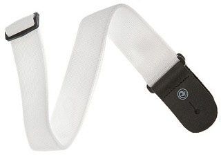 PLANET WAVES PWS108