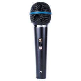 LEEM DM-300