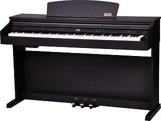 ARTESIA DP-10e Rosewood
