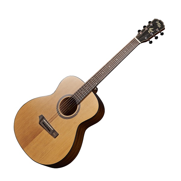 GOPHERWOOD i210R