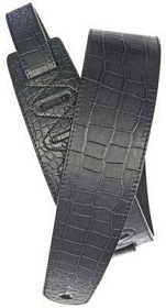PLANET WAVES 25ALI-01