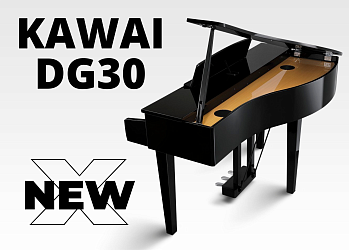 Kawai DG-30 NEW