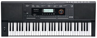 KURZWEIL KP110