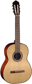 CORT AC100-OP
