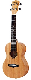 ENYA EUT-25D