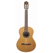 PEREZ 610 Cedar LTD