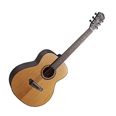 GOPHERWOOD i210R