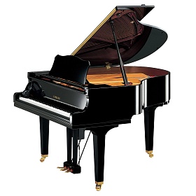 YAMAHA DGC1 ENST PE