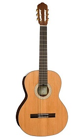 KREMONA S58C Sofia Soloist Series