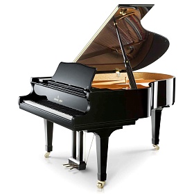 SHIGERU KAWAI SK-3L M/PEP