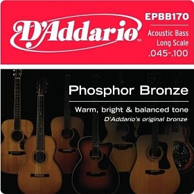 D'ADDARIO EPBB170