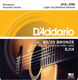 D'ADDARIO EJ14