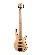 CORT B5-Element-OPN Artisan Series