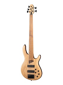 CORT B5-Element-OPN Artisan Series