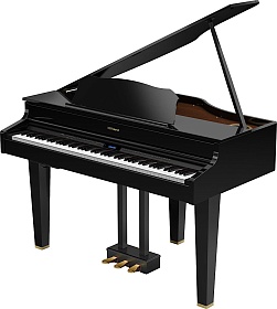 ROLAND GP607 PE