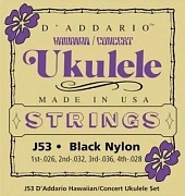 D'ADDARIO J53