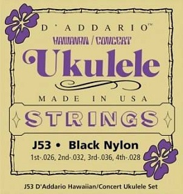 D'ADDARIO J53