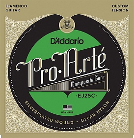 D'ADDARIO EJ25C