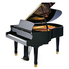 PETROF P 173 Breeze черный полированный