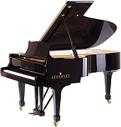 BRODMANN AS 227
