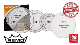 REMO PP-0110-PS- PINSTRIPE PRO PACK