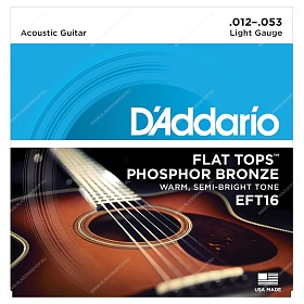 D'ADDARIO EFT16
