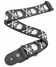 PLANET WAVES 50H01