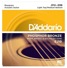 D'Addario EJ19