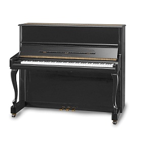 SAMICK JS121FD/EBHP