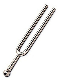WITTNER 921440