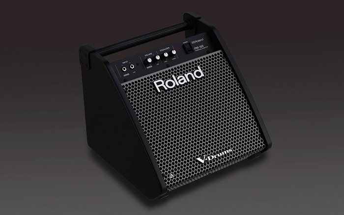 ROLAND PM-100