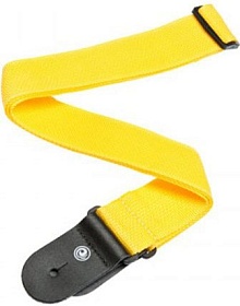 PLANET WAVES PWS110
