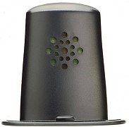 PLANET WAVES GH