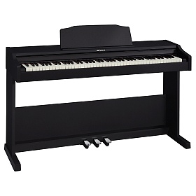 ROLAND RP102-BK