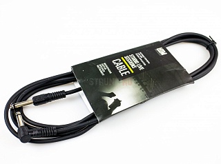 LEEM CM-10