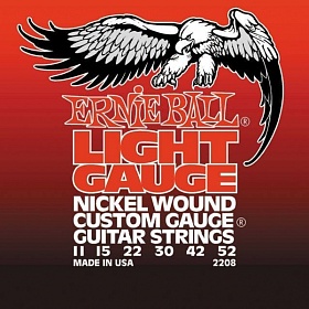ERNIE BALL 2208