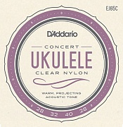 D'ADDARIO EJ65C