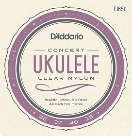D'ADDARIO EJ65C