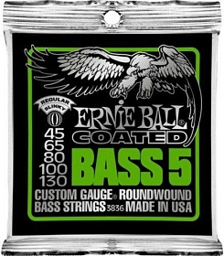 ERNIE BALL 3836