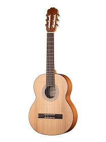 KREMONA S53C Sofia Soloist Series