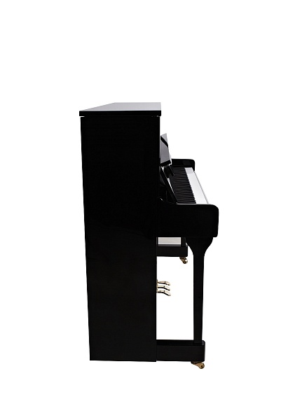МЕЛОДИЯ 120 AT Acoustic Tech