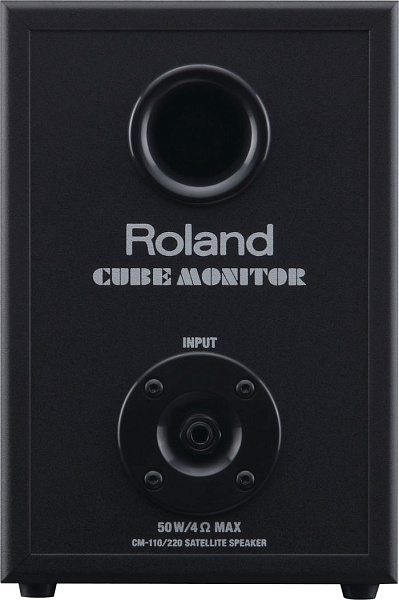 ROLAND CUBE-MONITOR-110 (Дисконт)