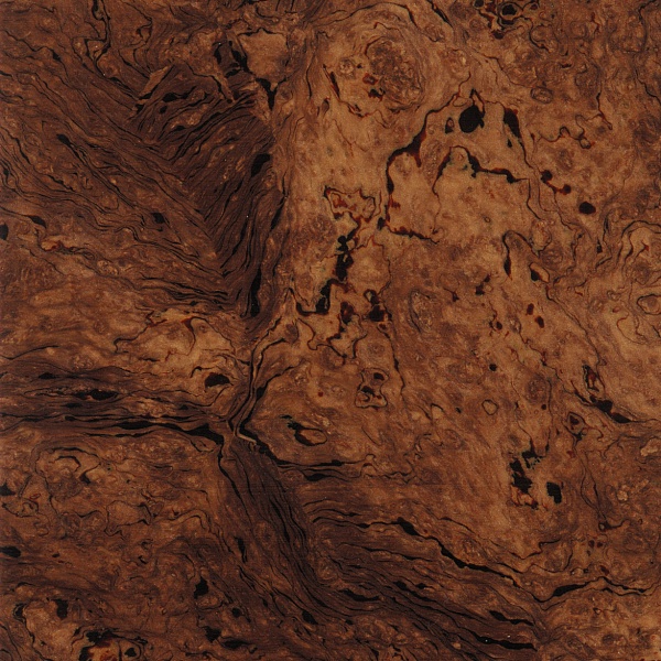 WELTMEISTER Cassotto 374 37/96/IV/11/5 коричнево-перламутровый