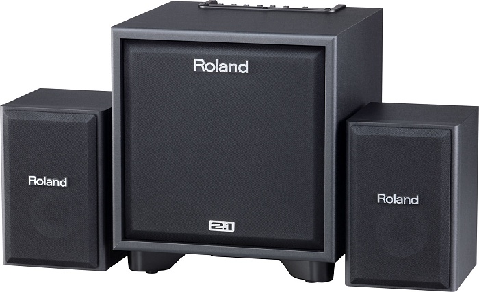 ROLAND CUBE-MONITOR-110 (Дисконт)