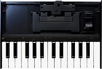 ROLAND K-25m