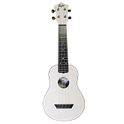 FLIGHT TUS 35 WH