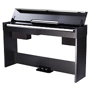 MEDELI CDP5000 B