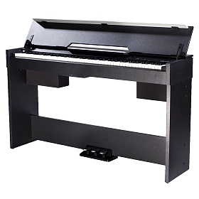 MEDELI CDP5000 B
