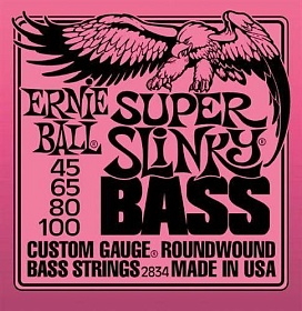 ERNIE BALL 2834